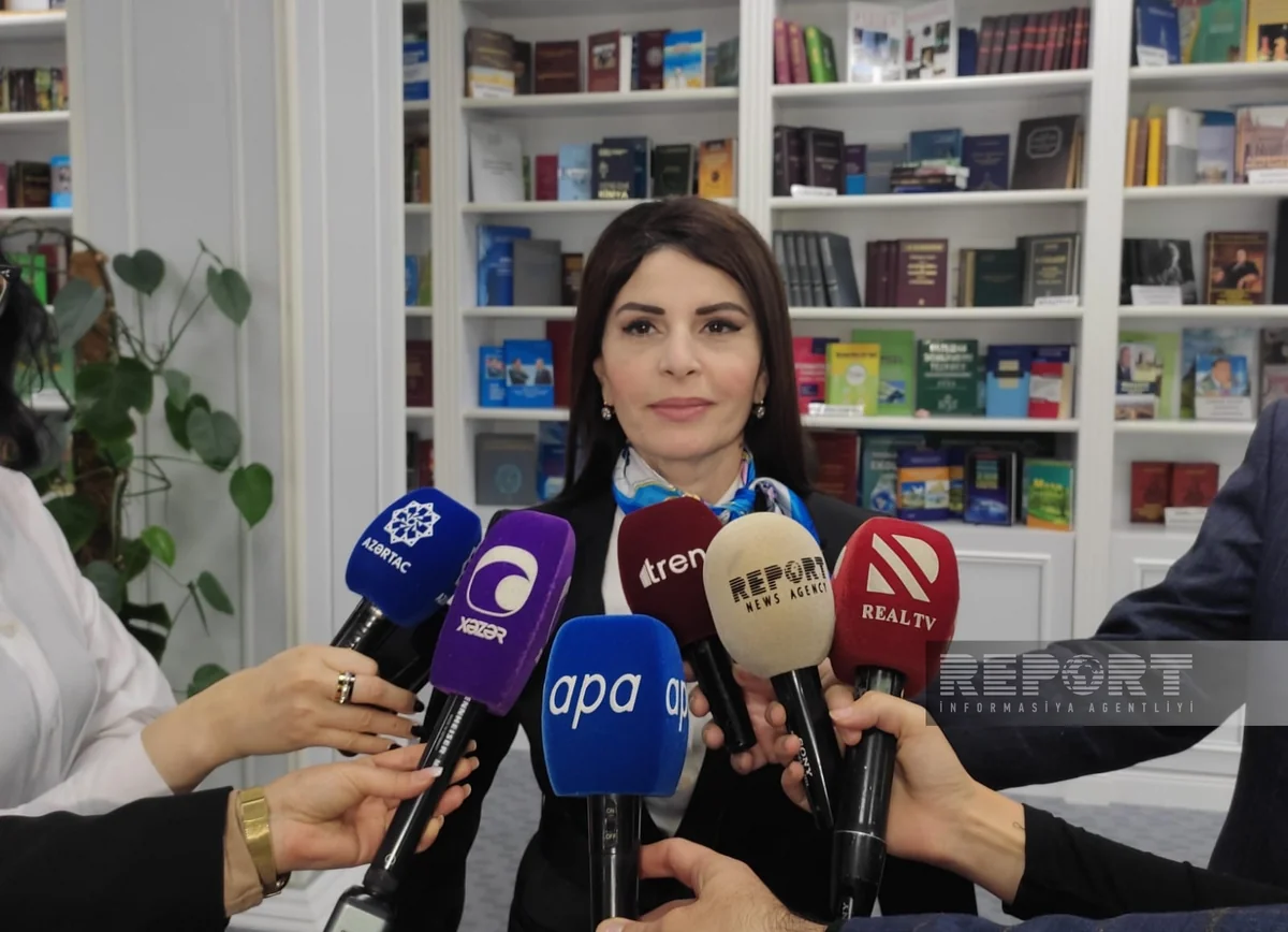 Monitorinq Mərkəzinin direktoru dil normaları ilə bağlı saytlara çağırış edib