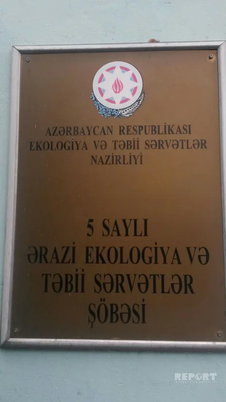 ​Xəzərin sahilində Azərbaycan üçün xarakterik olmayan heyvanlar peyda olub - FOTO