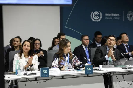 В рамках COP29 состоялся круглый стол высокого уровня по вопросам детей, молодежи и климатических действий