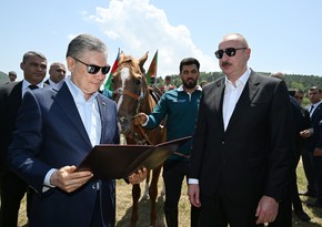 Qurbanqulu Berdiməhəmmədova “Dostluq” adlı Qarabağ atı hədiyyə edilib