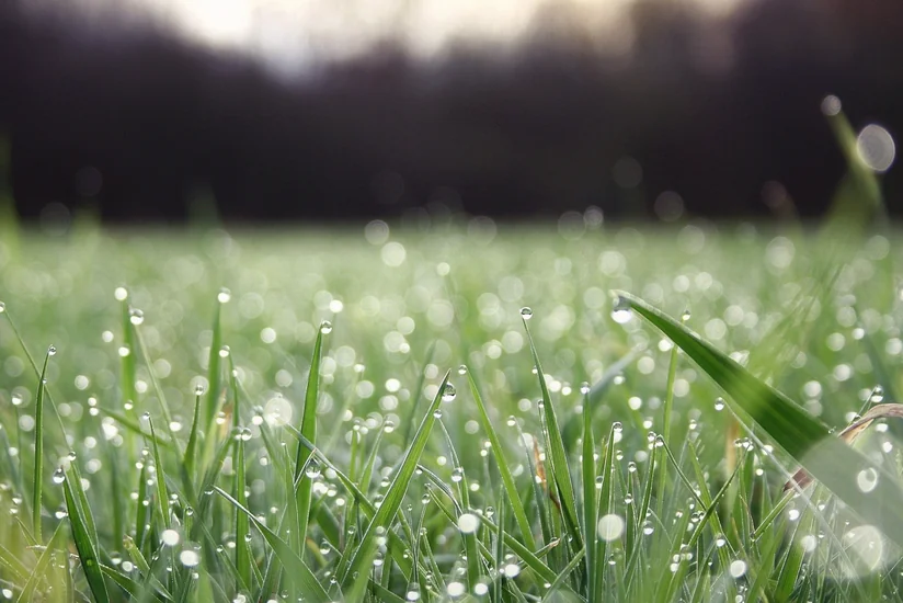 Havanın temperaturu 3-5 dərəcə aşağı enəcək, yağış yağacaq - XƏBƏRDARLIQ