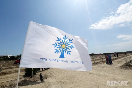 YAP Bakıda ağacəkmə aksiyası keçirib