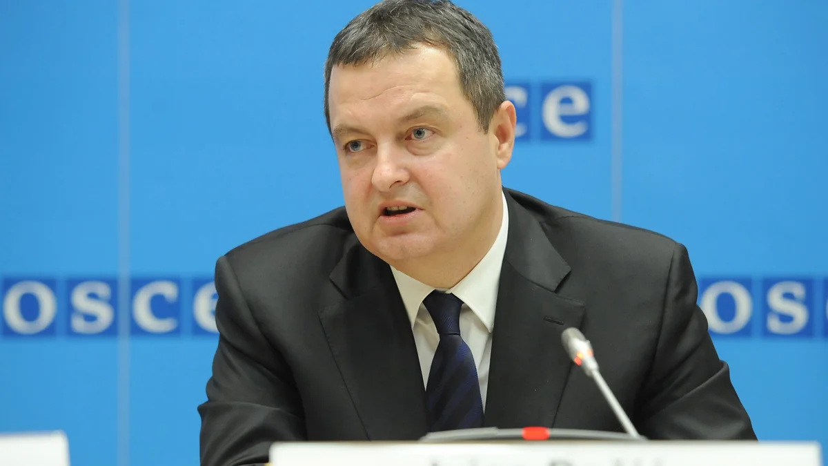 ​Daçiç: Münaqişənin həlli üçün Azərbaycan və Ermənistanın siyasi iradəsi, eləcə də beynəlxalq ictimaiyyətin dəstəyi lazımdır