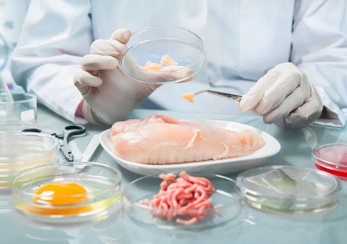 Azərbaycanda tibb, təhsil və sosial müdafiə müəssisələrində yeni qida normaları təsdiq ediləcək
