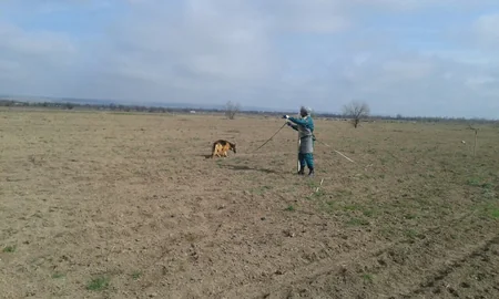 Cocuq Mərcanlıda tank əleyhinə mina aşkarlanıb