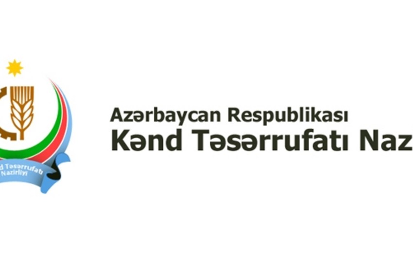 ​Kənd Təsərrüfatı Nazirliyi işçi axtarır