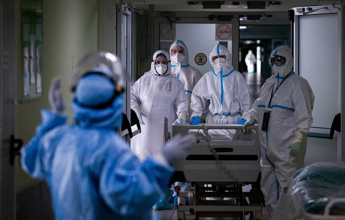 S. Korea confirms highly pathogenic avian influenza case