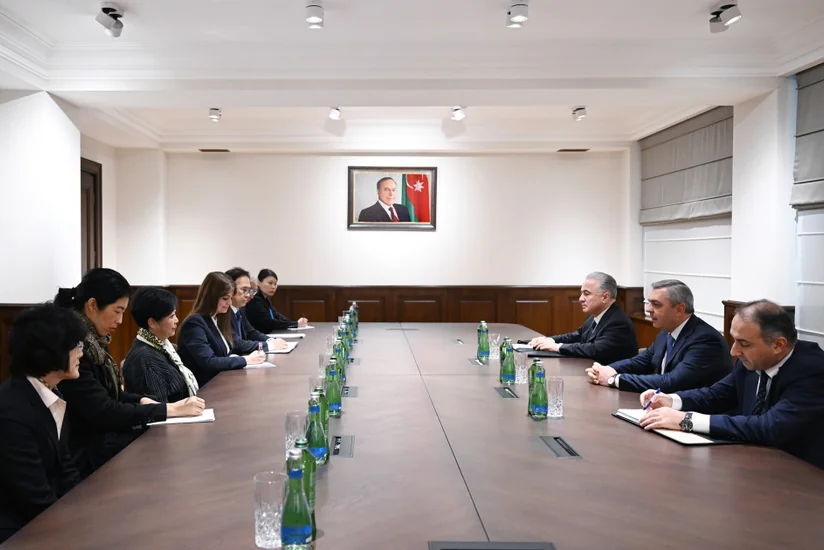 Руководитель Администрации президента встретился с губернатором Токио