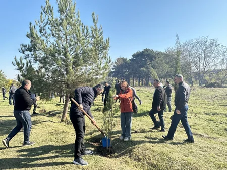 FHN-in regional mərkəzlərində ağacəkmə aksiyaları keçirilib