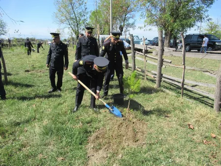 Zaqatalada Anım Günü ilə əlaqədar ağacəkmə aksiyası keçirilib