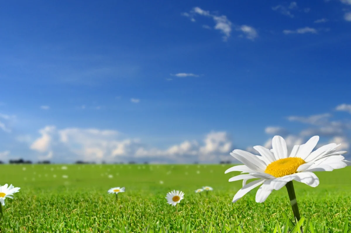 Weather forecast in Azerbaijan for July 21 was announced