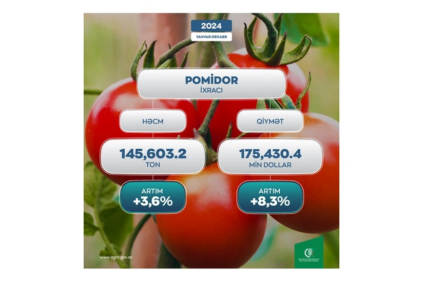 Azərbaycan pomidor ixracından gəlirini 8 %-dən çox artırıb