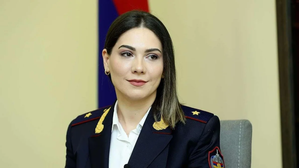 Armenia's Justice Minister clashes with journalists, terminates briefing mid-sentence