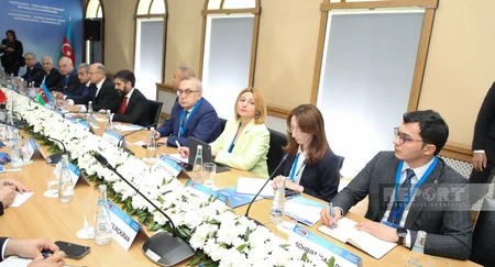 Azerbaijani and Turkish delegations discussing energy cooperation