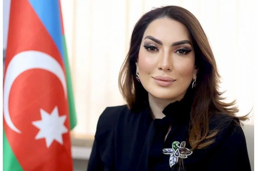 Mərkəz rəhbəri: “Statistika qadınların təhlükəsizliyi ilə bağlı ciddi suallar yaradır”