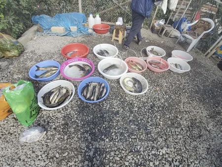 Kürdəmirdə bazarda sanitar qaydaların kobud şəkildə pozulması aşkarlanıb