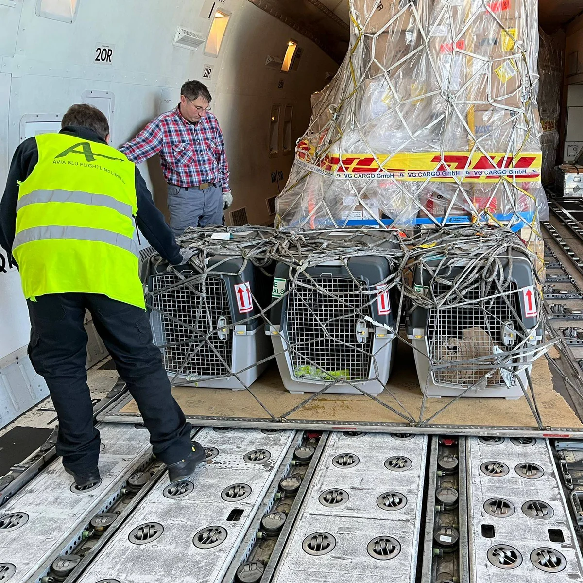 ABŞ Azərbaycana daha 5 minaaxtaran it verib