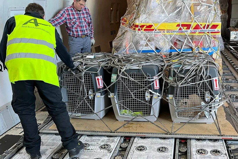 ABŞ Azərbaycana daha 5 minaaxtaran it verib