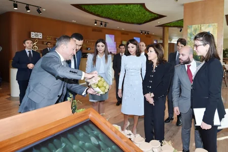 Birinci vitse-prezident Mehriban Əliyeva İtaliya Senatının sədri ilə görüşüb