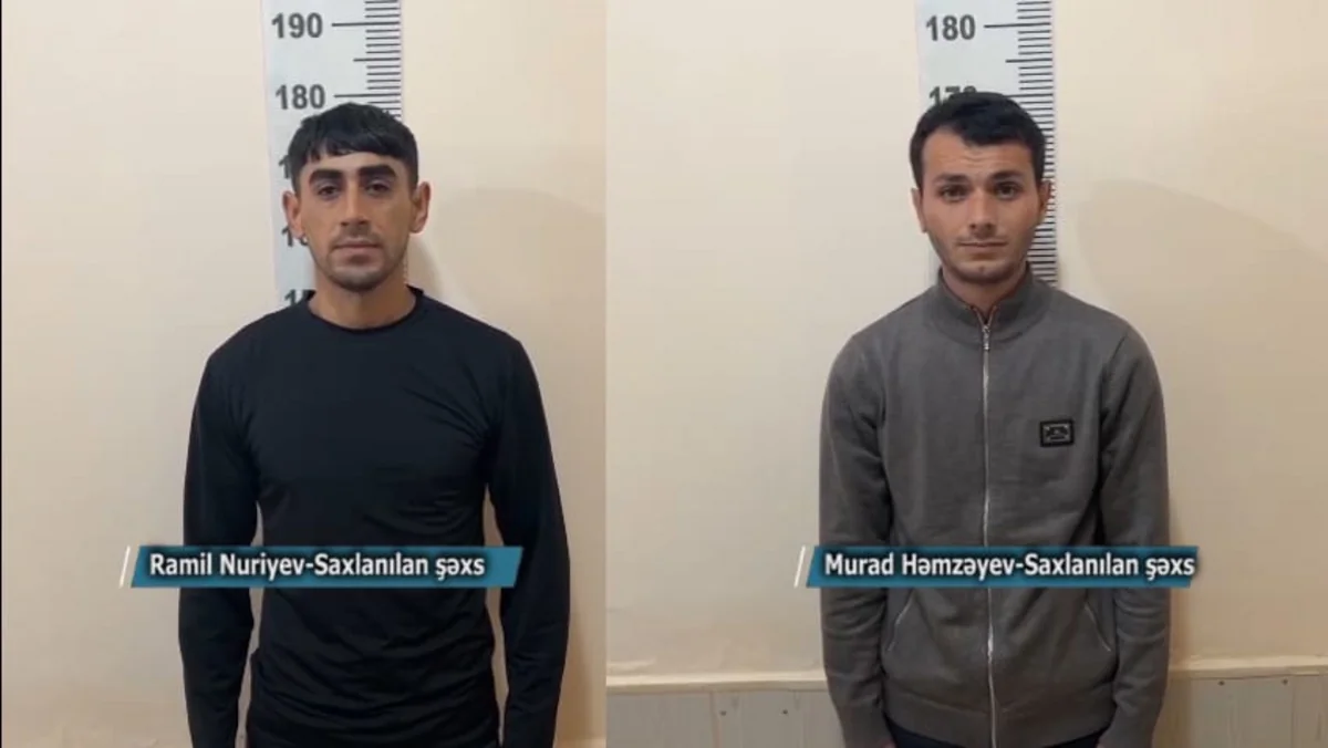 Beyləqanda narkokuryerlərdən 15 kq marixuana aşkarlanıb