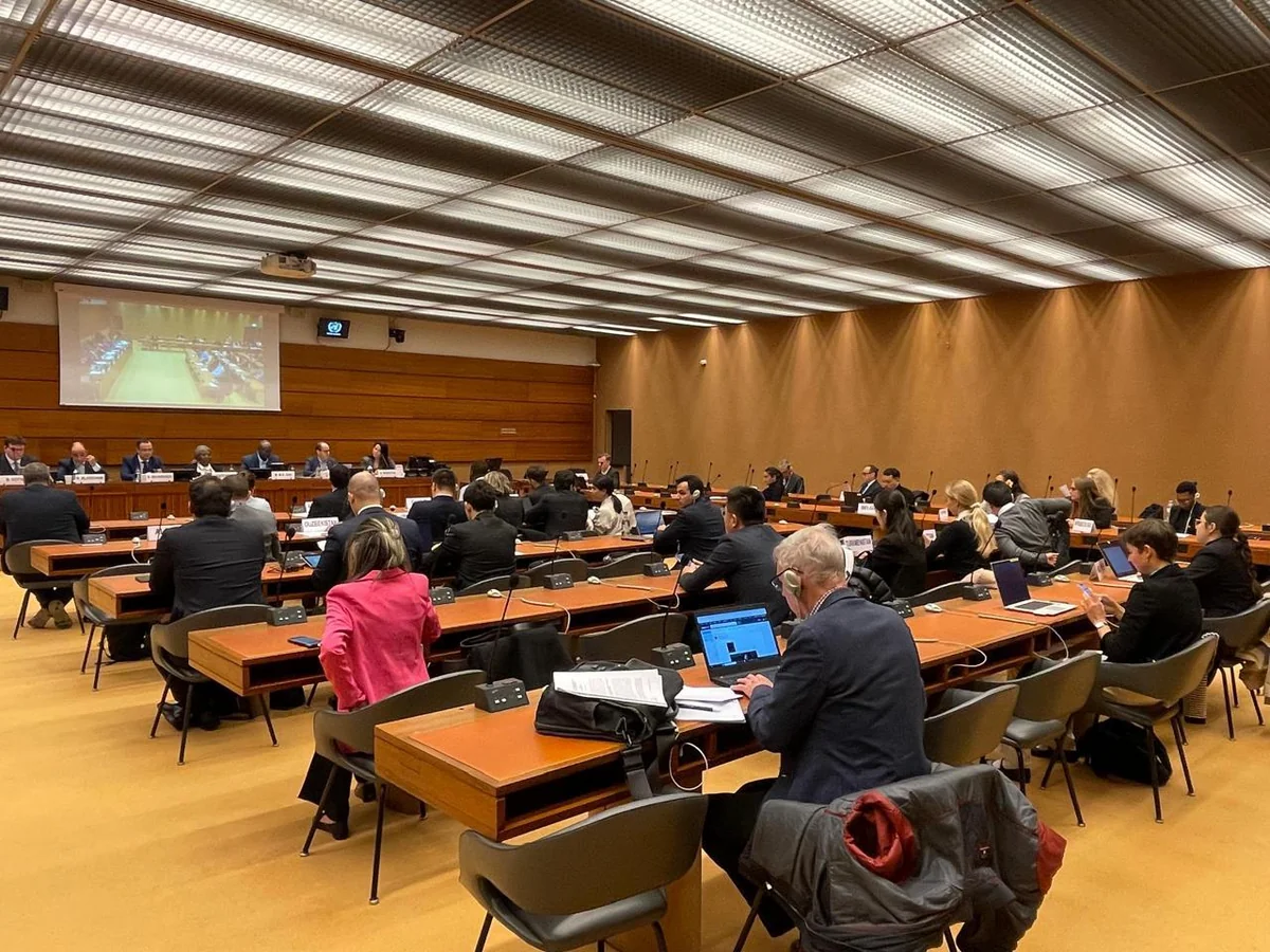 Azerbaijan submits resolution to UN on protecting rights of landmine victims