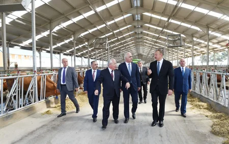 President Ilham Aliyev inaugurated Yalama Agropark