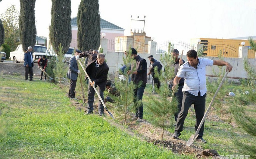 Tree-planting campaign held on the frontline
