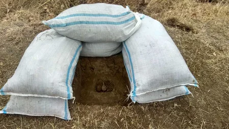 Ağstafada əl qumbaraları tapılıb