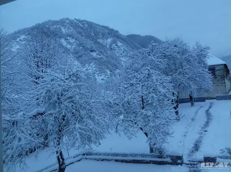 Qax rayonuna ilk qar yağıb - FOTOREPORTAJ