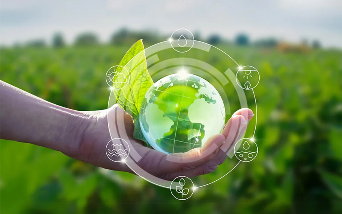 FAO reveals key recommendations for transition to green agriculture