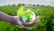 FAO reveals key recommendations for transition to green agriculture
