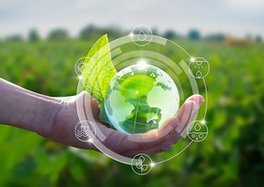 FAO reveals key recommendations for transition to green agriculture