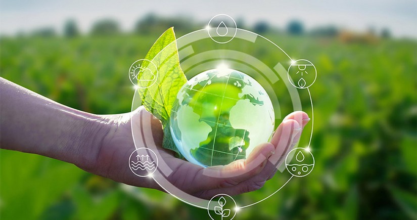 FAO reveals key recommendations for transition to green agriculture