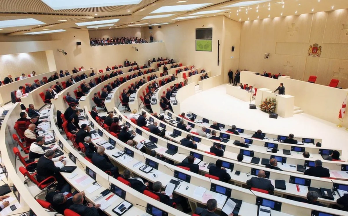 Georgian Parliament backs Transparency Bill in 2nd reading