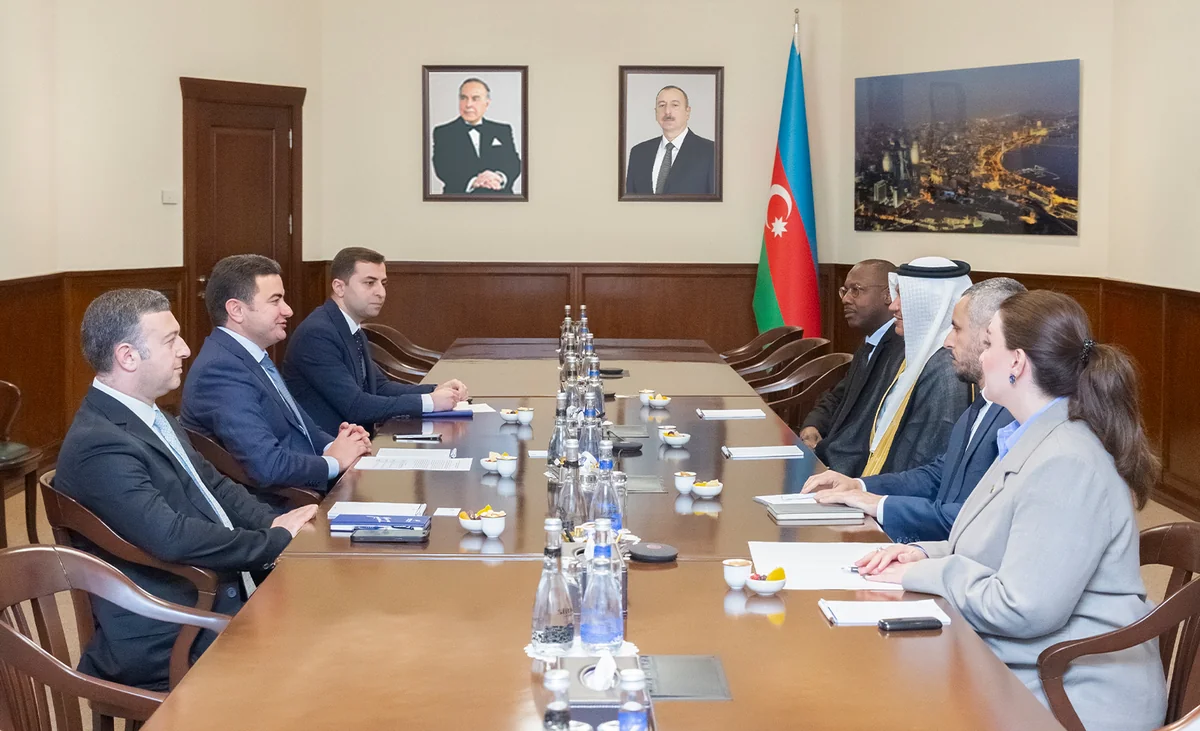 Azerbaijan, Saudi Arabia discuss prospects for development of air connectivity