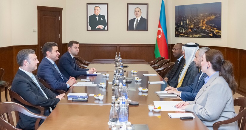 Azerbaijan, Saudi Arabia discuss prospects for development of air connectivity