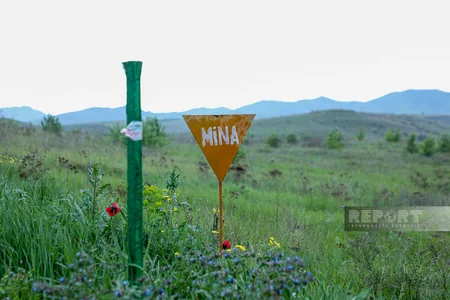 Where poppies bloom amid war scars: A journey through liberated villages of Gazakh