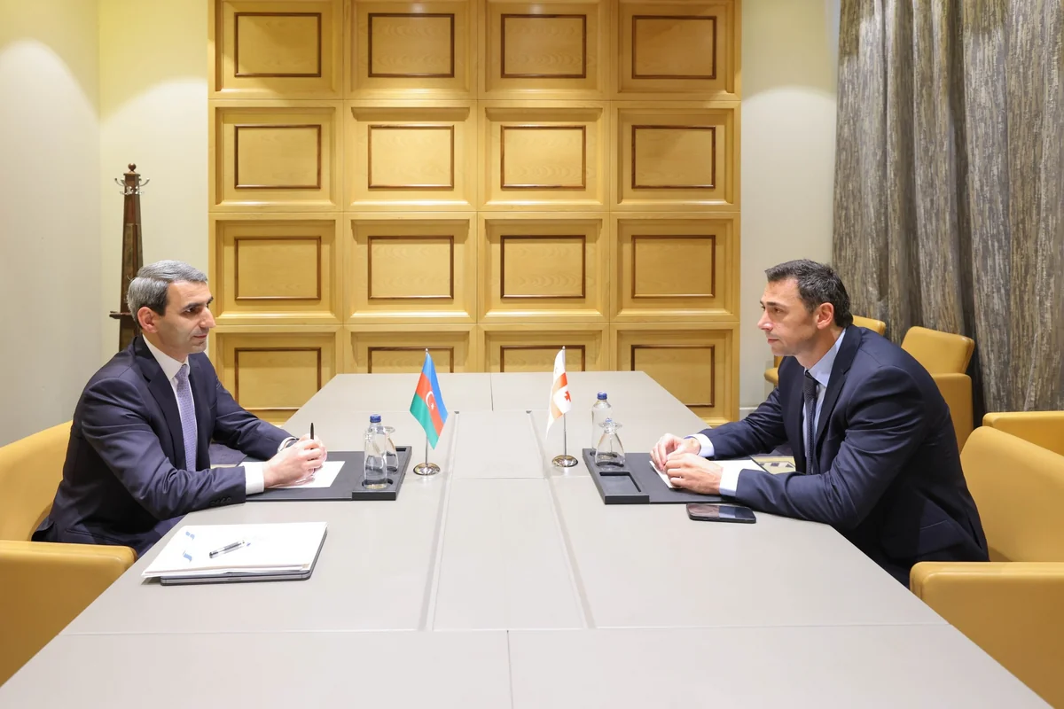 Azerbaijan and Georgia mull cooperation in transport