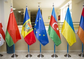 Глава МИД Австрии: Восточное партнерство не работает