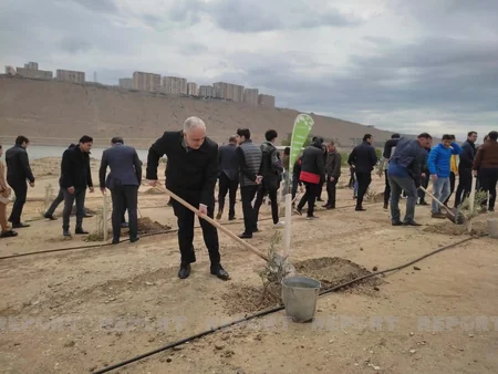 Bakıda Beynəlxalq Bitki Sağlamlığı Günü münasibətilə ağacəkmə aksiyası keçirilib