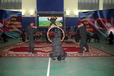 Silahlı Qüvvələrdə Dövlət Bayrağı Günü qeyd olunub - FOTO