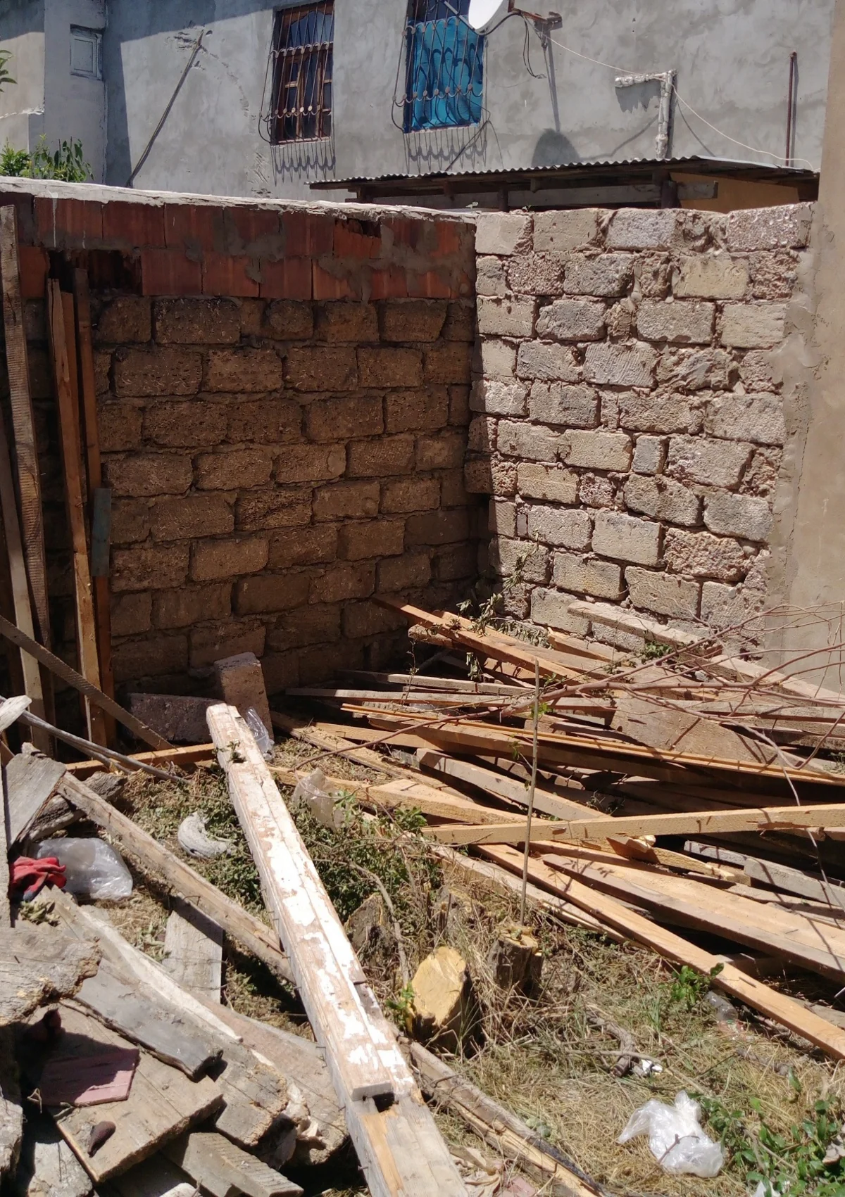 Bakıda ağacları kəsdirən rəis cərimələnib, materiallar Baş Prokurorluğa göndərilib