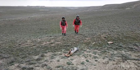 Ötən ay 2 ədəd piyada əleyhinə, 10 ədəd tank əleyhinə mina zərərsizləşdirilib