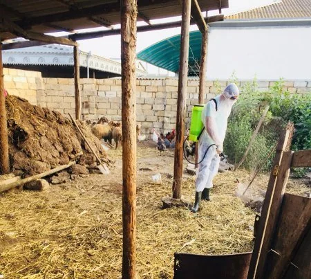 Bakı, Salyan, Hacıqabul və Saatlıda yerləşən təsərrüfatlarda dezinfeksiya tədbirləri görülür