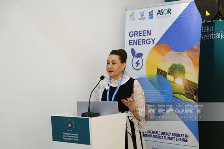 Seminar on renewable energy implementation held at COP29 National NGO Forum Pavilion