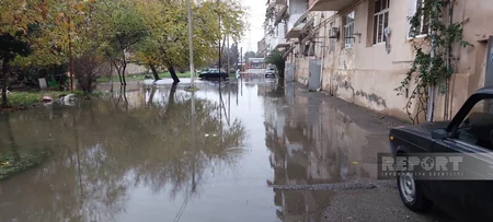 Lənkəranda yağışdan sonra mərkəzi küçələri su basıb, ərazi keçilməz olub