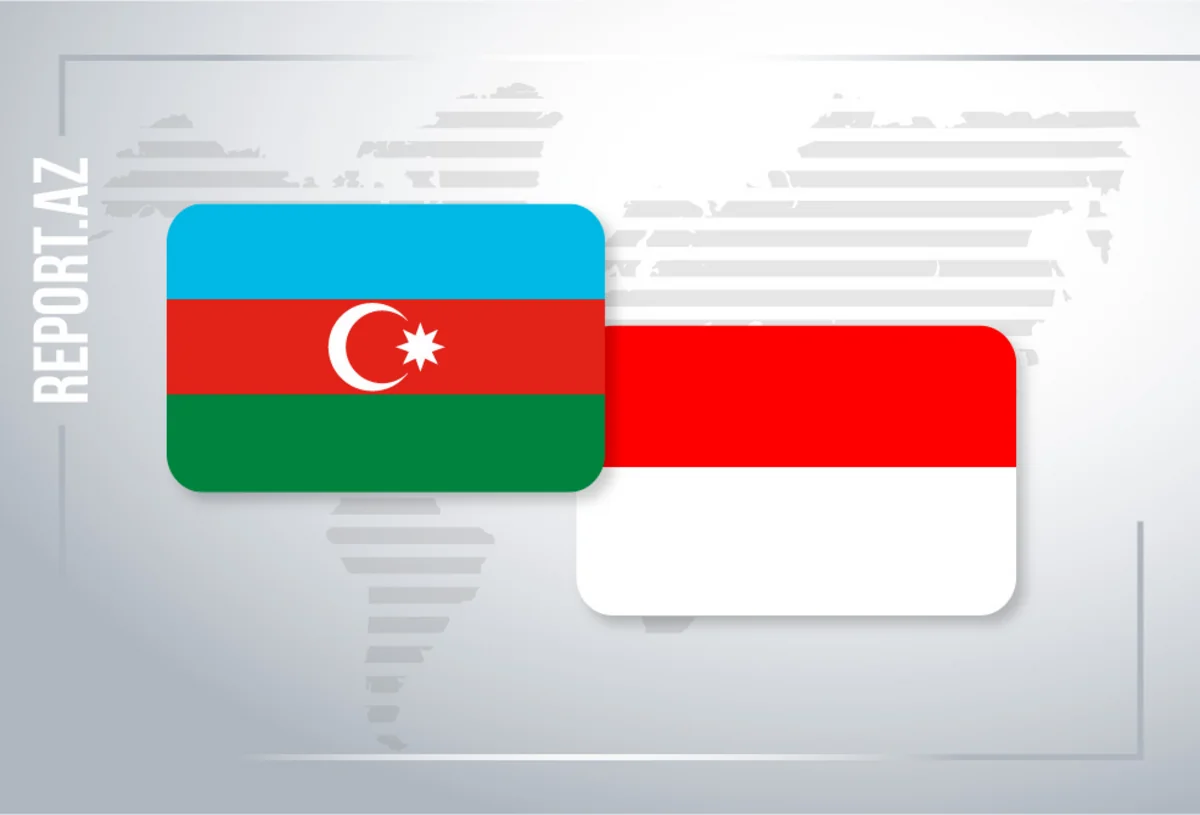 Azərbaycan XİN İndoneziyanı təbrik etdi