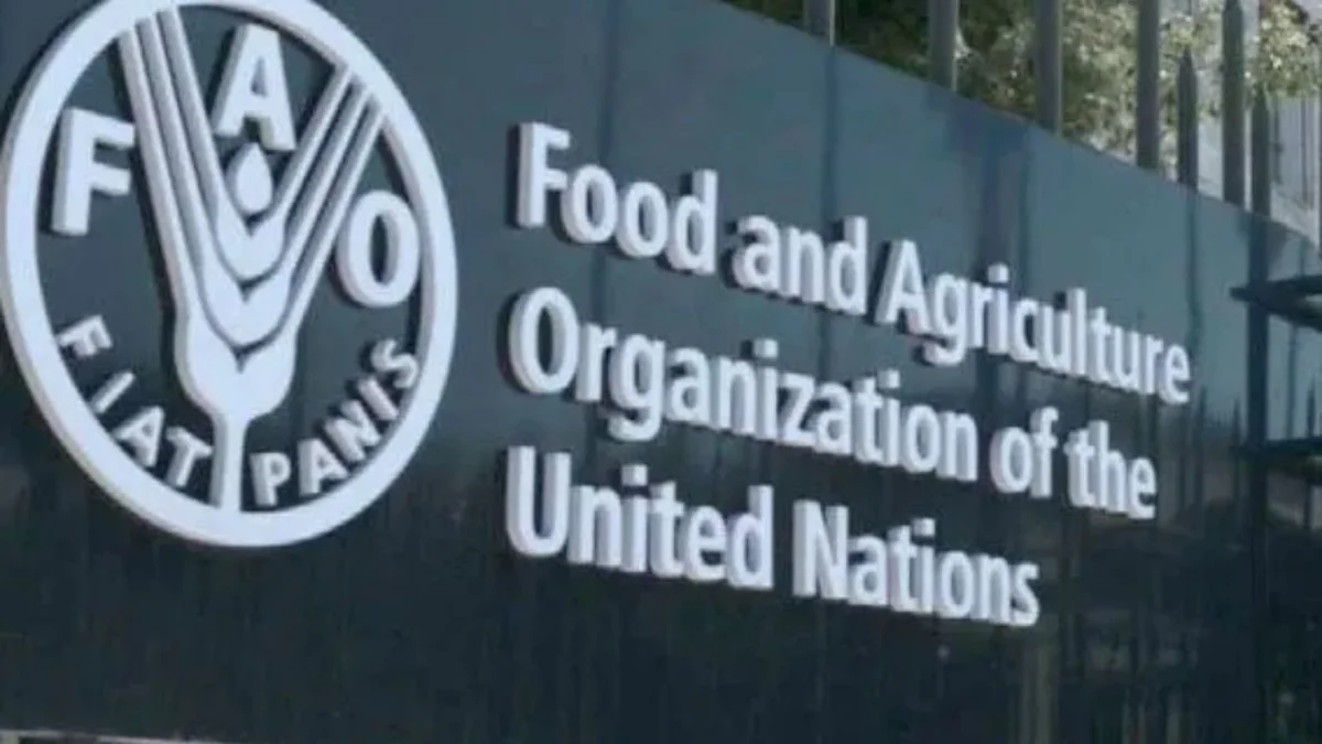 Uzbekistan elected to FAO Council for first time