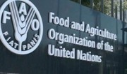 Узбекистан впервые избран в Совет FAO