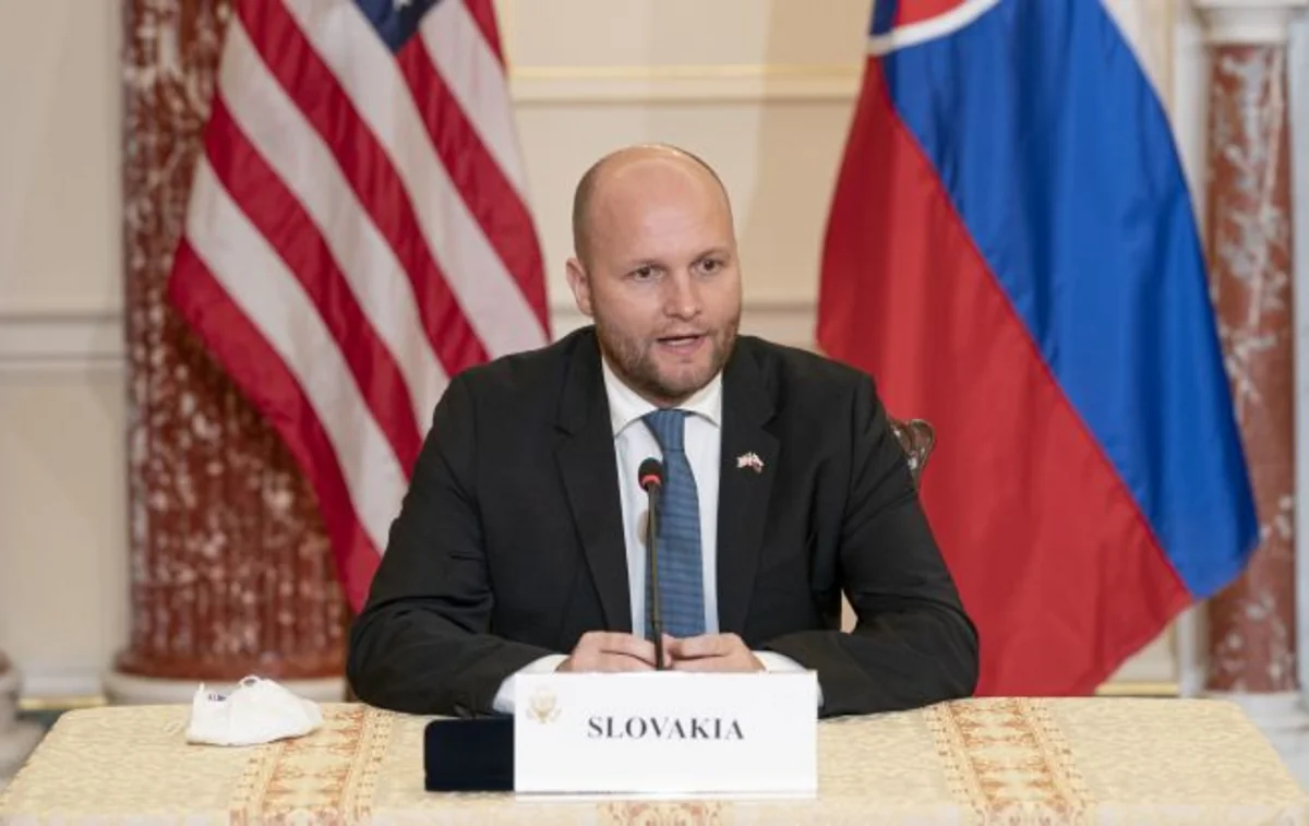Slovakiyanın müdafiə naziri: Vladimir Putin devrilə bilər